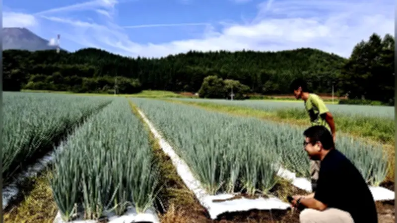 異常気象で農業が北上、京野菜やトマトが北海道や高地で栽培拡大へ