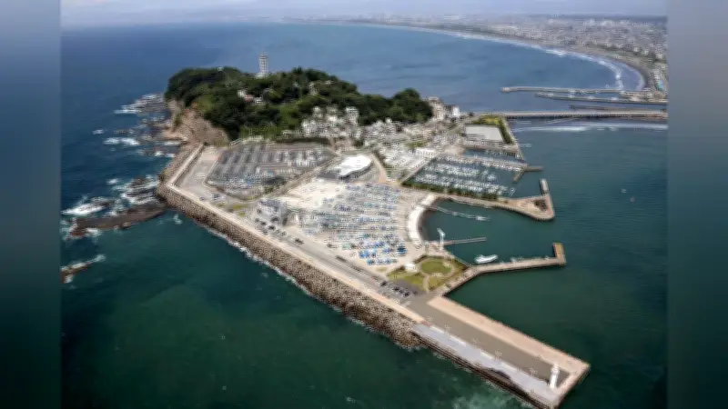 東京・渋谷で外国人観光客が急増、地元商店街が多言語対応で活気を取り戻す