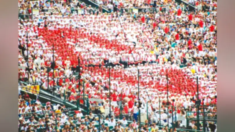 智弁学園の伝統「Ｃ」人文字、少子化でパネル活用に 甲子園アルプス席の名物が進化