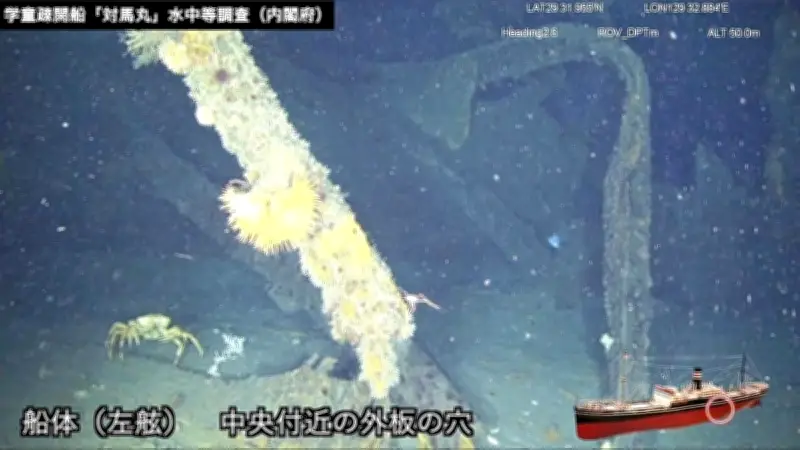 対馬丸の水中調査で魚雷の穴を確認、内閣府が映像や金属片を記念館で展示へ
