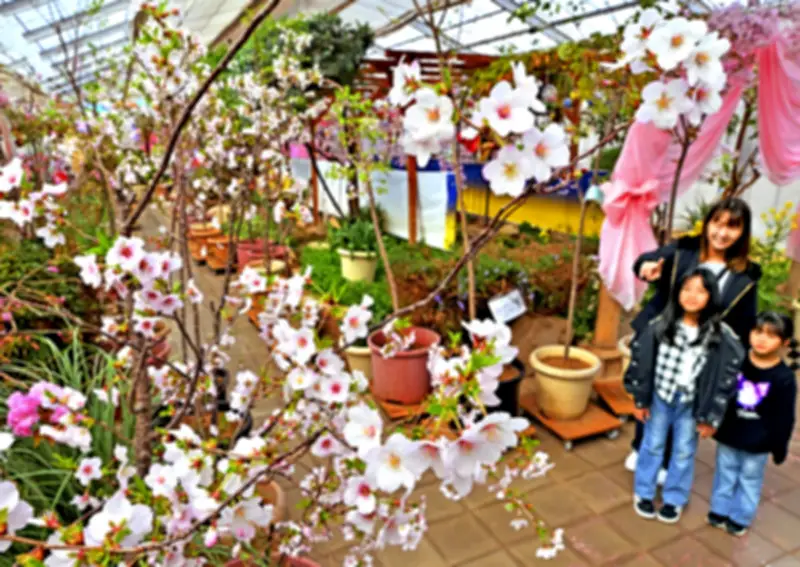 福島県の新たな観光プロジェクトが始動、地域活性化へ期待高まる