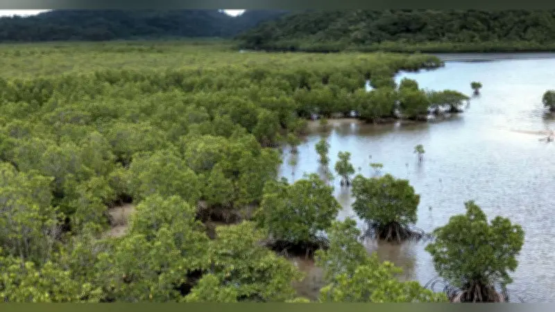 映画「森に聴く」山上徹二郎監督が語る、人間中心主義からの脱却と森への回帰