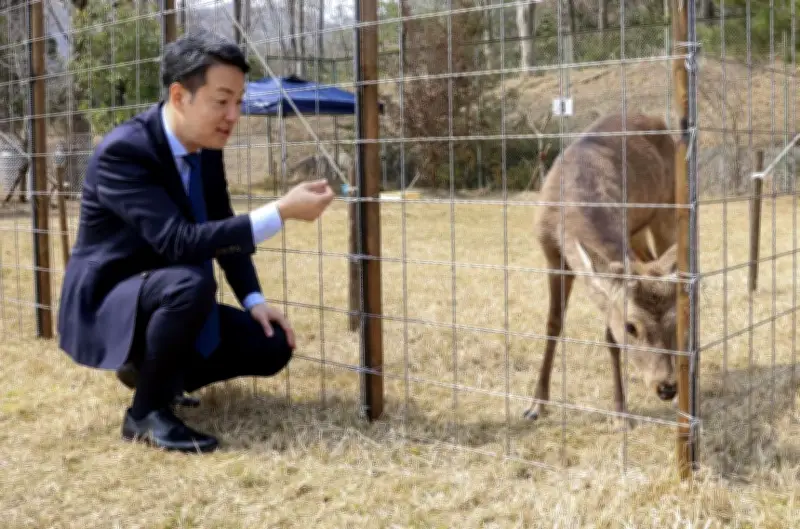 大阪で保護された人懐っこいシカ、市長が「サービス精神旺盛」と評価 能勢町で一般公開検討