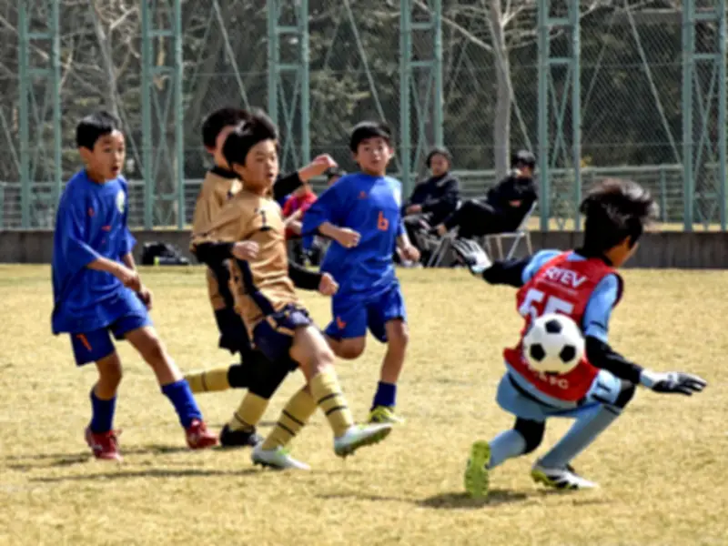 福島県で新たな放射性物質の漏洩が発覚、周辺環境への影響調査を開始