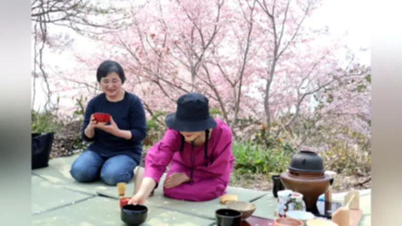 長崎県東彼杵町で「お花見野点茶会」開催 地域おこし協力隊が桜と抹茶の融合企画
