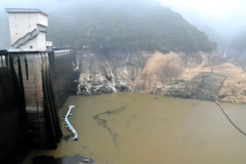 山下智久さんらにフランス勲章授与、「神の雫」が日仏友好に貢献