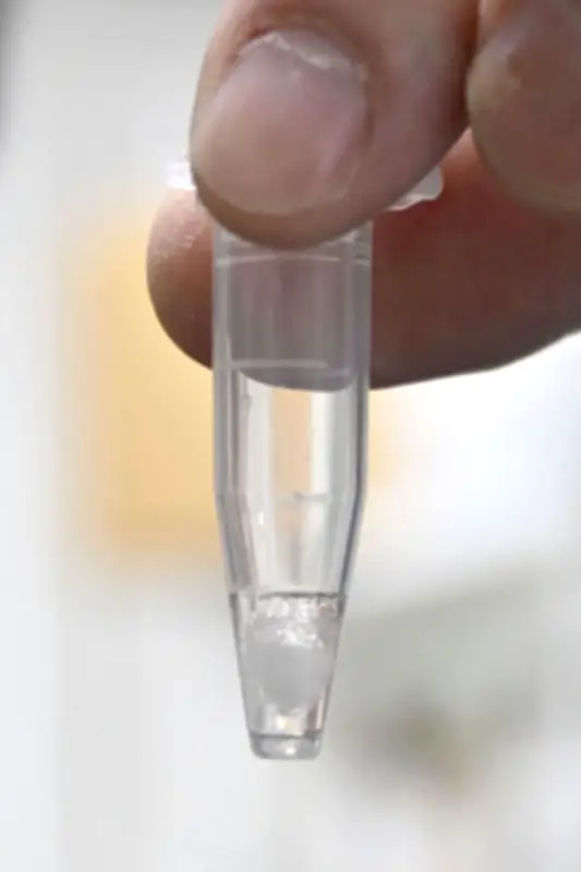 時差ぼけ回復に新たな光！体内時計を進める化合物「Ｍｉｃ―６２８」を大阪大などが発見