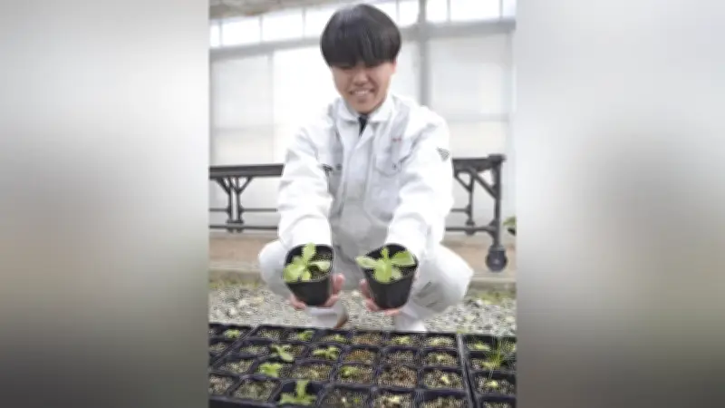 読売新聞の「新聞で学ぼう」プロジェクト、全国の小中学校で教育効果を拡大