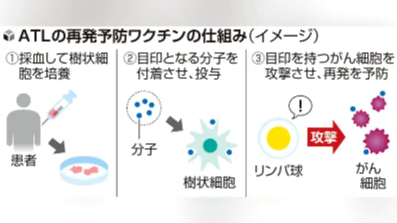 難治性血液がんATL再発予防ワクチン開発、九州がんセンターなどが治験継続へCFで支援募る