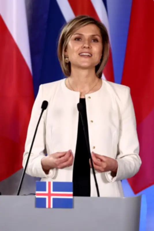 アイスランド、EU加盟交渉再開の国民投票を8月29日に実施へ 安全保障環境の変化受け