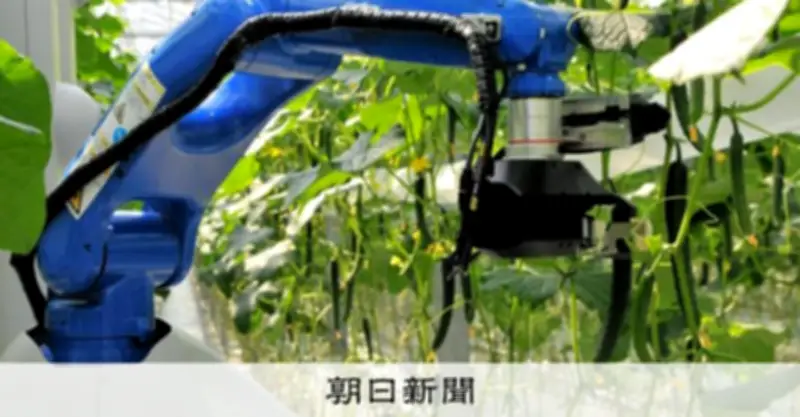 キュウリ収穫ロボットが稼働開始 安川電機とJA全農が共同開発、2026年実用化へ