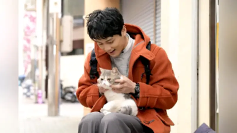 NHK大河ドラマ「光る君へ」最終回視聴率は18.5％、全話平均は13.8％で終了