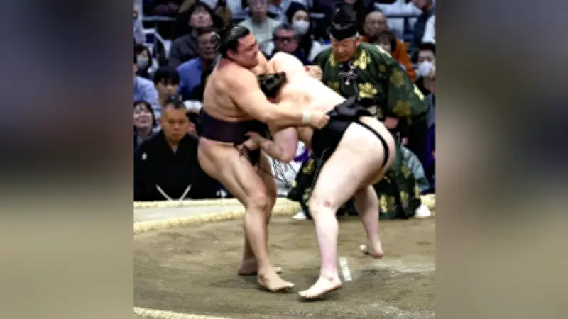 NHK大河ドラマ『光る君へ』最終回、視聴率20.8%で有終の美を飾る