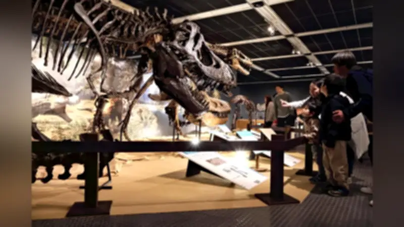 「最強の恐竜」ティラノサウルスの生態に迫る　新潟県立自然科学館でT-REX展開催