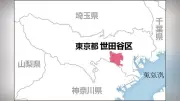 世田谷区砧公園で高さ10メートル超の桜が倒壊、70代女性が下敷きに…救急隊がチェーンソーで切断し救助