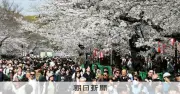 東京の桜が満開に 平年より3日早く、最高気温19.4度で4月中旬並みの暖かさ