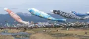春の風物詩40回目！岐阜・垂井町の相川で300匹超のこいのぼりが空を泳ぐ