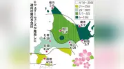 北海道の桜開花予想、函館は4月24日、札幌は26日…GW中に満開の見通し