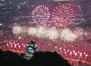 島根・医光寺雪舟庭園で推定450年のしだれ桜満開、訪れた女性「はかなげでとてもきれい」