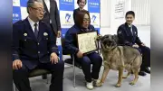 嘱託警察犬ヴァルド君が元日に高齢男性を発見、満足げな表情で任務を完遂