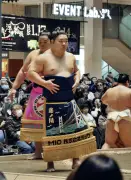 藤ノ川、春場所へ意気込み 自己最高位の前頭２枚目で「期待を感じる」