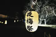 水戸城跡で幻想的な夜の梅祭り 水府提灯とプロジェクションマッピングで彩る