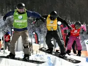 福島県で新たな太陽光発電所が稼働開始、再生可能エネルギー拡大へ前進