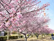 福島県の新たな観光戦略、地域活性化へ向けた取り組みを強化