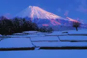かぐや姫は月ではなく富士山へ帰った？静岡・富士市に伝わる独自の竹取物語