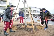 福島・南相馬市の原町一小でケヤキの若木を植樹　伐採された「元気」の名を継承し未来へ