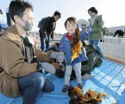 八景島シーパラダイスでワカメ収穫体験 家族で学ぶブルーカーボンと温暖化対策
