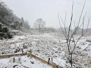 農園の春の訪れ 梅の花とリンゴの木の物語