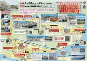 江戸川区で桜満喫ウォーキング開催 葛西臨海公園から春の名所巡り