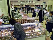 福島県いわき市で大規模な太陽光発電所が稼働開始、再生可能エネルギーの新たな拠点に