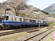 会津鉄道が特別ツアー お座トロ展望列車で大川ダム内部見学と桜マルシェ散策を提供