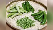 春の味覚グリーンピースの魅力：旬の生豆で楽しむフレッシュな食感と栄養