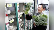 尼崎市、冷蔵機能付き無人販売機を駅に設置へ 「あまやさい」消費拡大で都市農業を支援