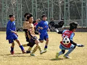 福島県で新たな放射性物質の漏洩が発覚、周辺環境への影響調査を開始