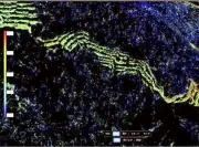 福島県の新たな観光戦略、デジタル技術を活用した地域活性化プロジェクトが始動