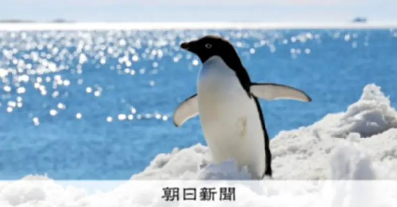 南極のオアシスで「地球最強」の微小動物が躍動する夏、1%の露岩域に命の神秘