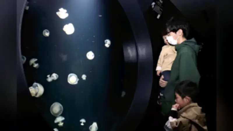 世界一のクラゲ水族館がリニューアルオープン 100種類1200人が夢中に