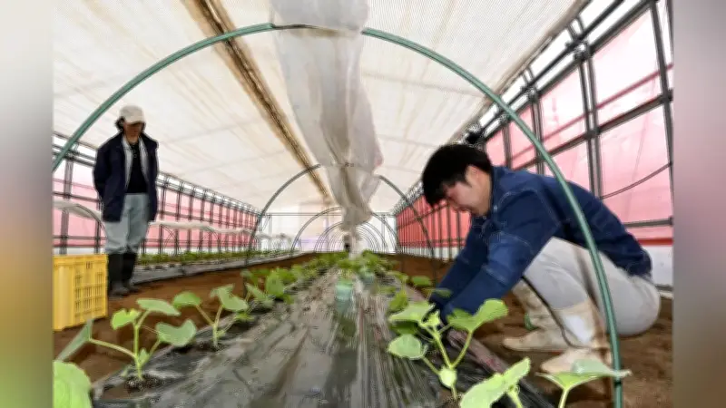 福井県の園芸カレッジが新規就農者を育成、10年で修了生300人に