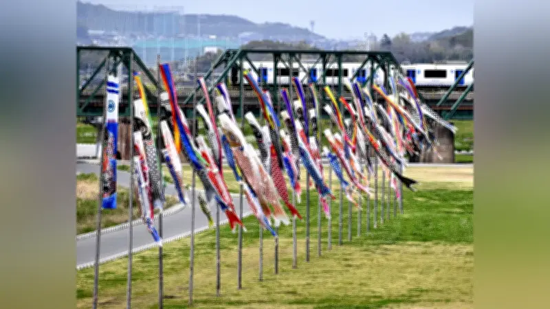 遠賀川に150匹のこいのぼりが舞う 中間市でふるさと祭り開催、5月8日まで
