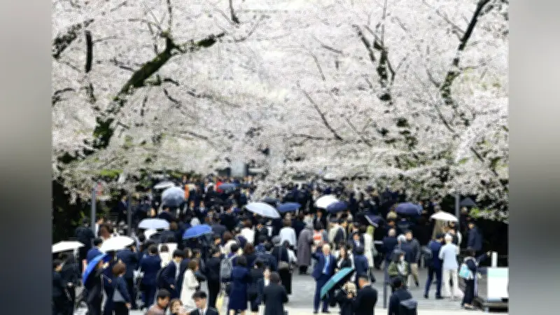 満開の桜に彩られて 東京科学大で新入生1500人が入学式