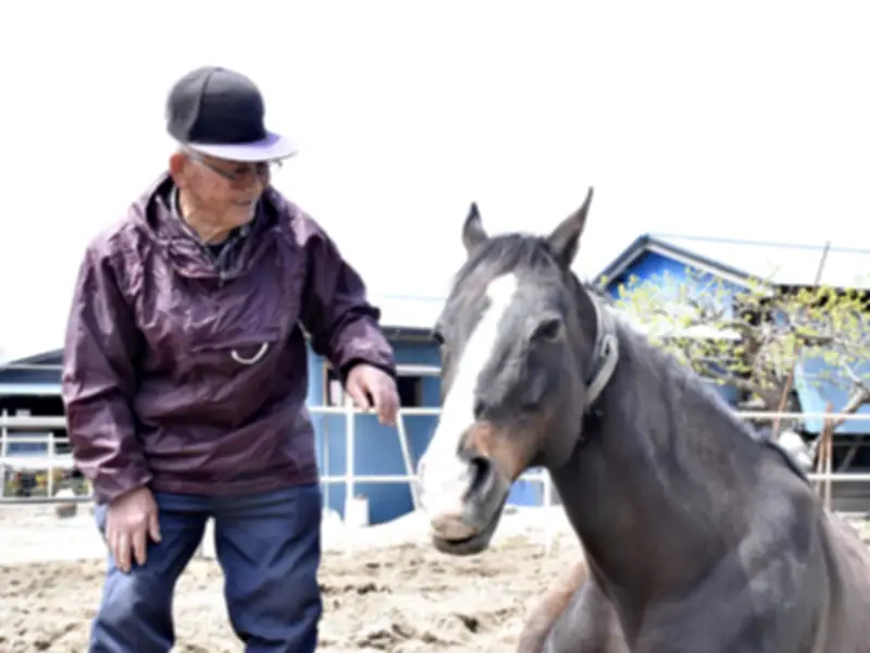 野馬追まで1カ月、元競走馬と暮らす86歳の騎馬武者「これからも健康でいて」
