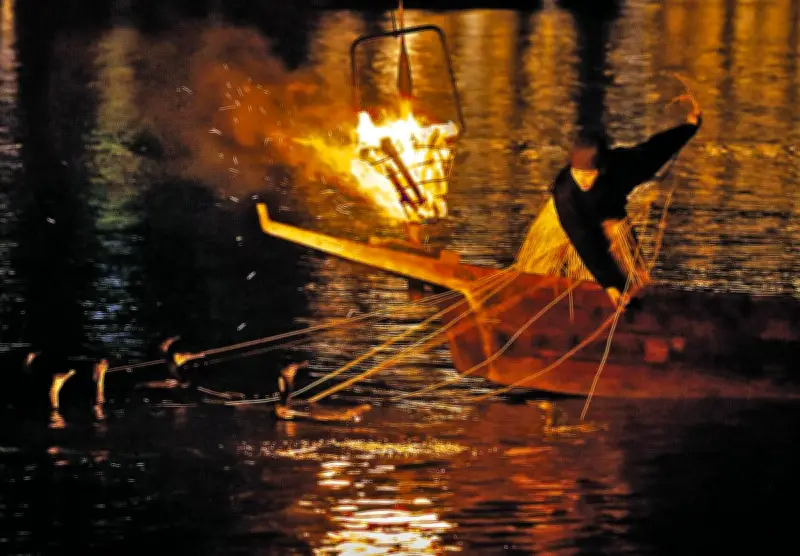 木曽川鵜飼、鵜匠退職で出船数半減へ　週休2日確保で働き方改革着手