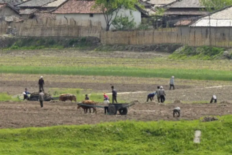 北朝鮮で深刻な干ばつ警報、降水量は2015年以降で最少に