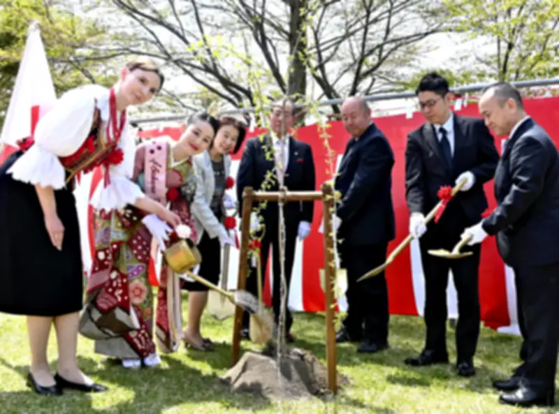 猪苗代で日ポ友好のシダレザクラ植樹 国際親善記念祭22回目