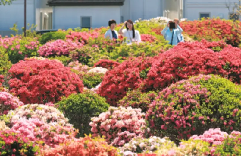 関東で夏日続く、東京都心25.6℃ 世田谷区ではツツジ満開