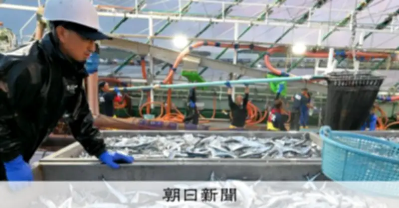 26年サンマ漁獲枠、4%減の9.2万トンで過去最少も前年実績は上回る見通し